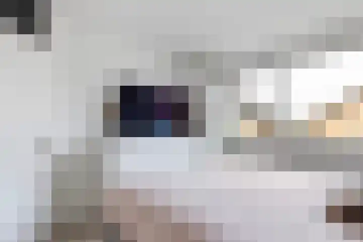 Gandhiweg 44 Gouda thumbnail 27