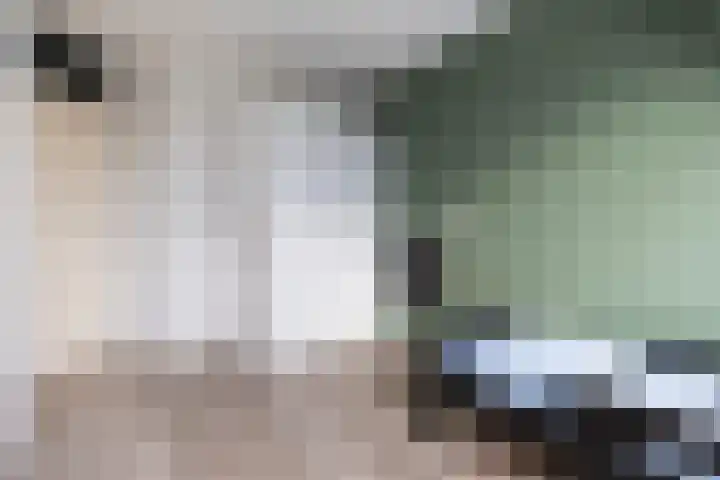 Gandhiweg 44 Gouda thumbnail 35