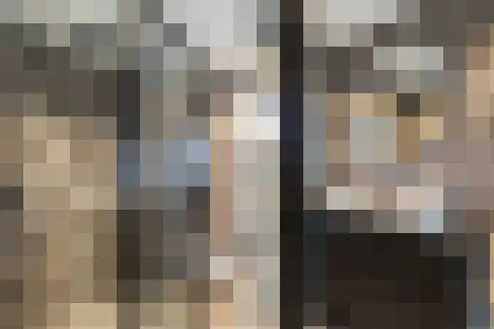 Gandhiweg 44 Gouda thumbnail 37