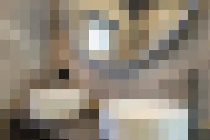 Gandhiweg 44 Gouda thumbnail 38