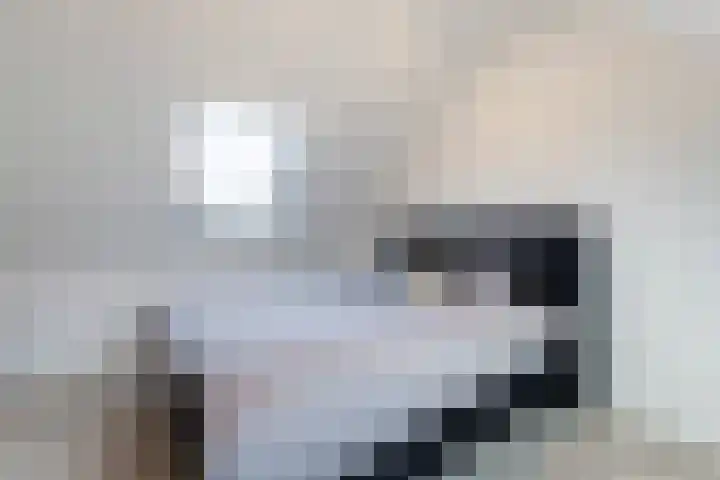 Gandhiweg 44 Gouda thumbnail 41