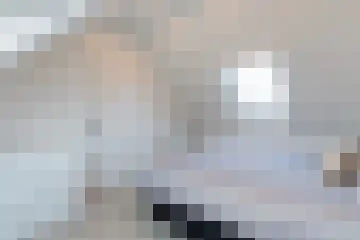 Gandhiweg 44 Gouda thumbnail 42