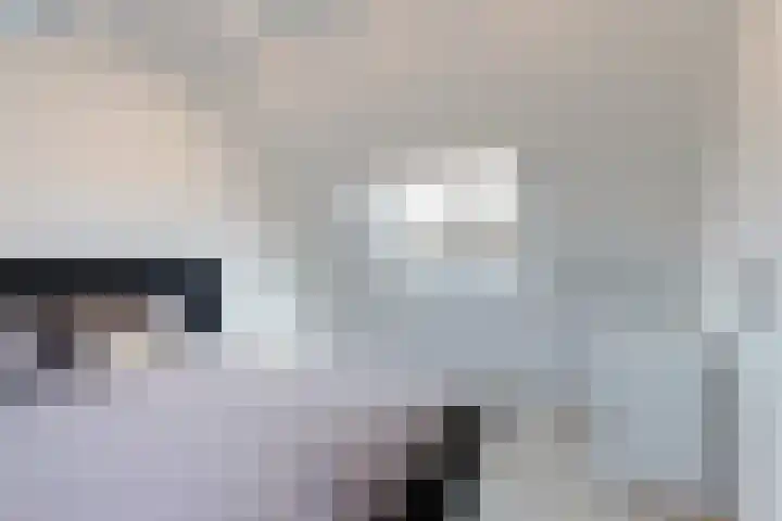 Gandhiweg 44 Gouda thumbnail 43