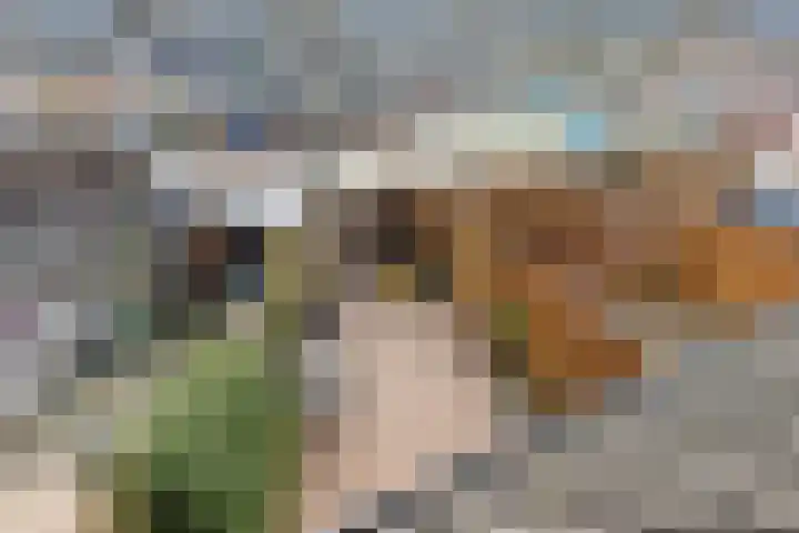 Gandhiweg 44 Gouda thumbnail 45