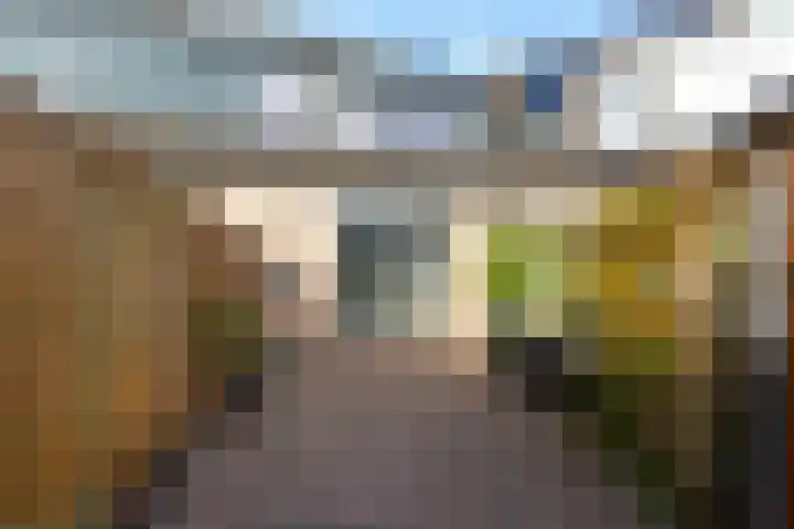 Gandhiweg 44 Gouda thumbnail 46