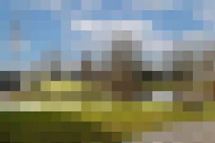 Gandhiweg 44 Gouda thumbnail 54