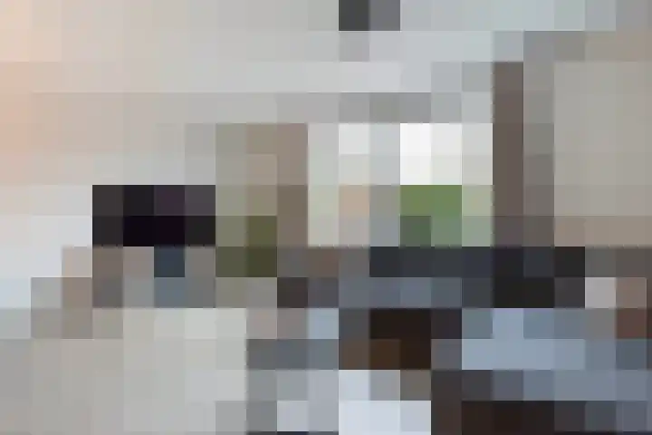 Gandhiweg 44 Gouda thumbnail 8