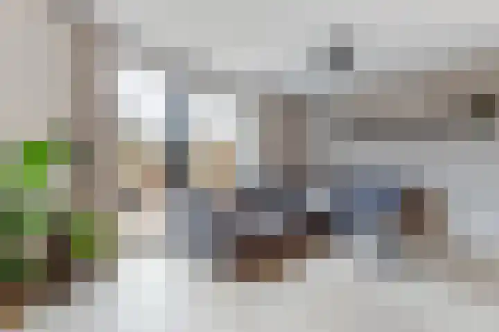 Gandhiweg 44 Gouda thumbnail 9