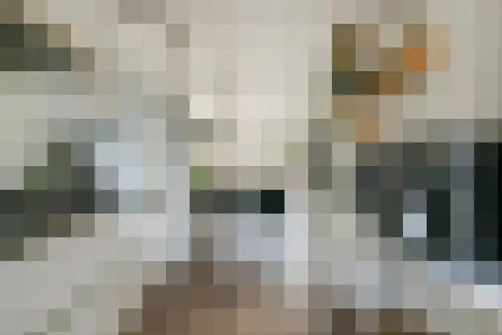 Gandhiweg 52 Gouda thumbnail 11