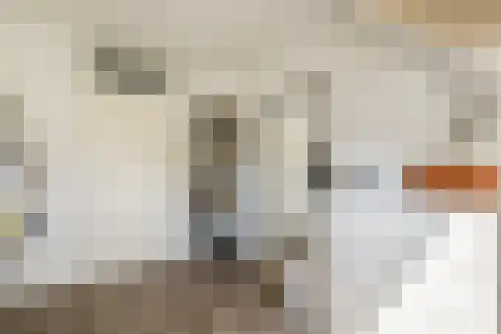Gandhiweg 52 Gouda thumbnail 18
