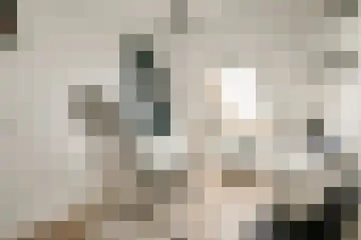 Gandhiweg 52 Gouda thumbnail 19