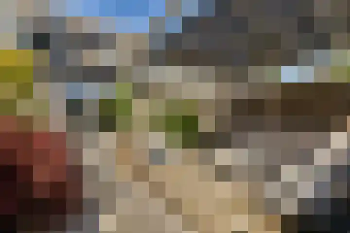 Gandhiweg 52 Gouda thumbnail 22