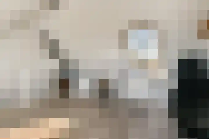 Gandhiweg 52 Gouda thumbnail 23