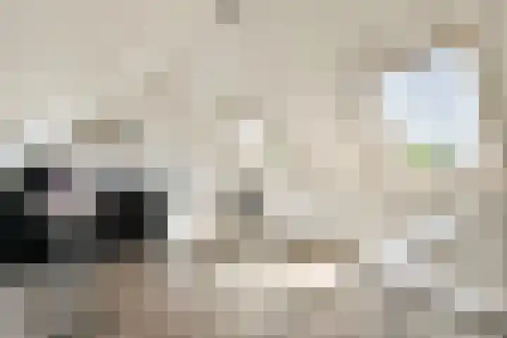 Gandhiweg 52 Gouda thumbnail 24