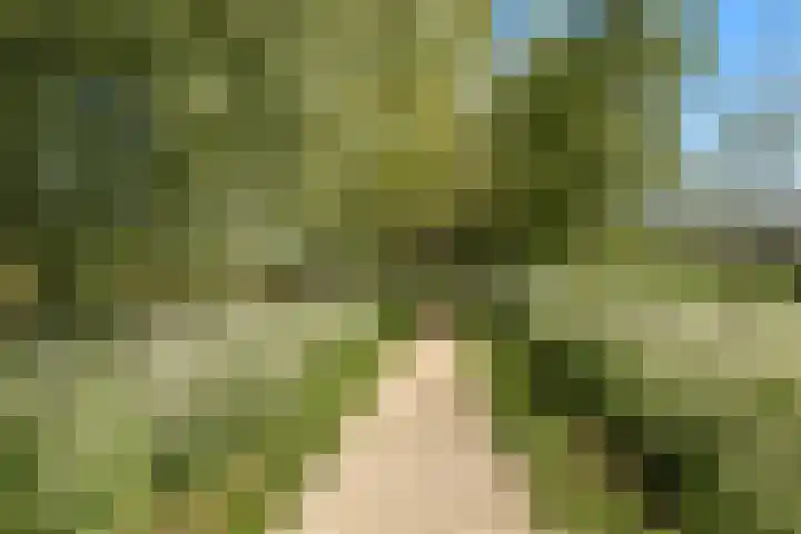 Gandhiweg 52 Gouda thumbnail 28