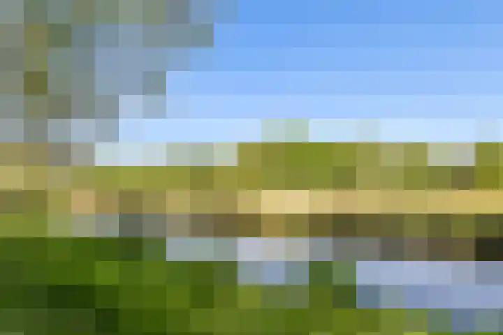 Gandhiweg 52 Gouda thumbnail 29