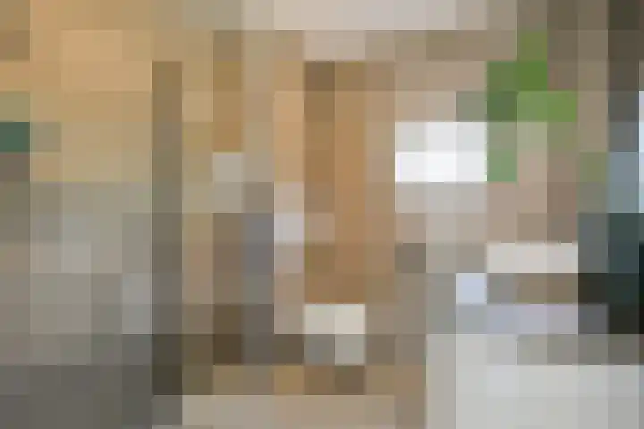 Gandhiweg 52 Gouda thumbnail 4