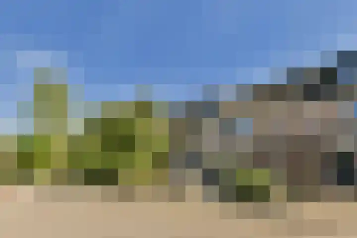 Gandhiweg 52 Gouda thumbnail 6