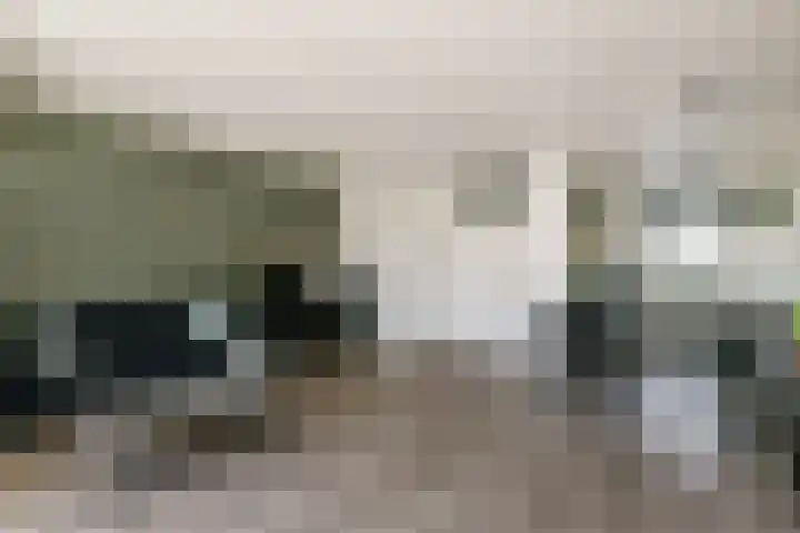 Gandhiweg 52 Gouda thumbnail 8