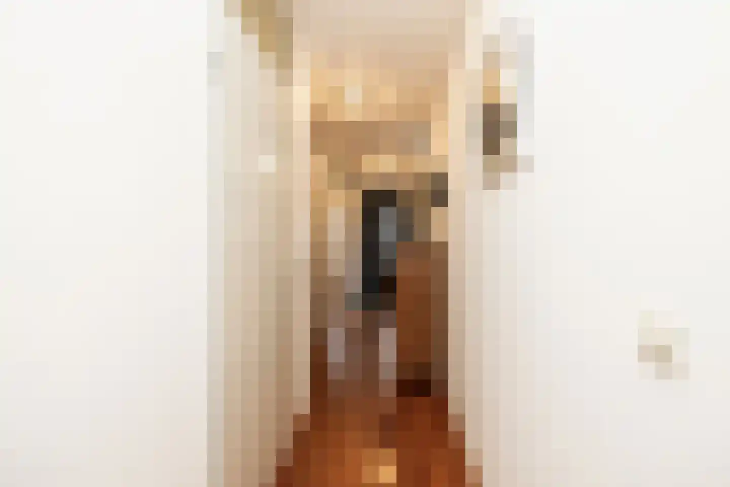 Gandhiweg 82 Gouda thumbnail 10