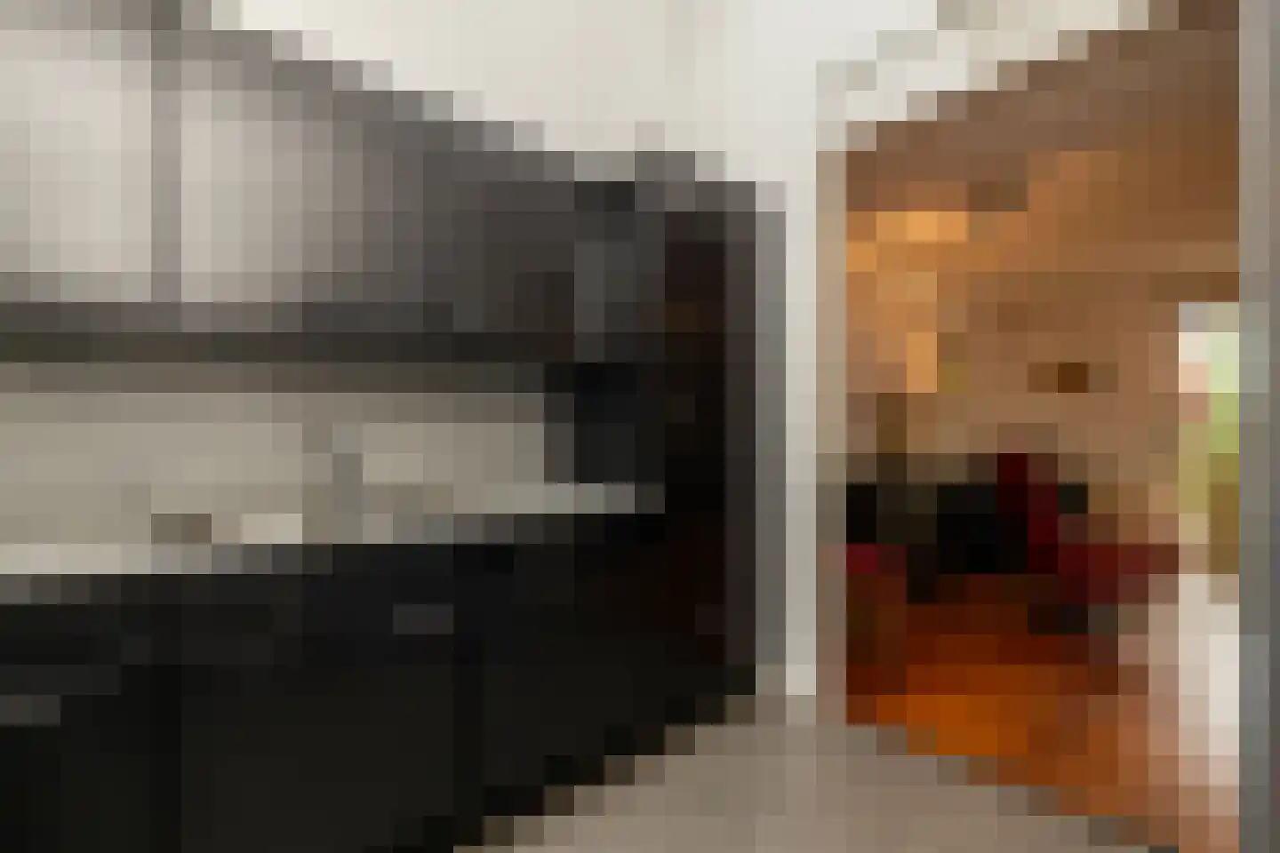 Gandhiweg 82 Gouda thumbnail 20