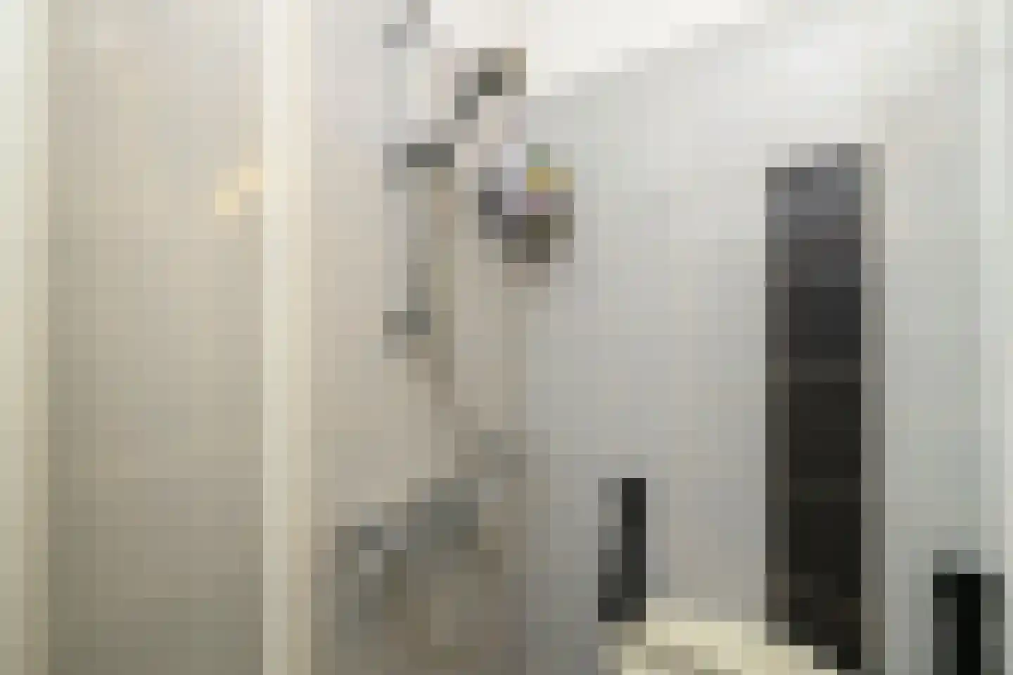 Gandhiweg 82 Gouda thumbnail 27