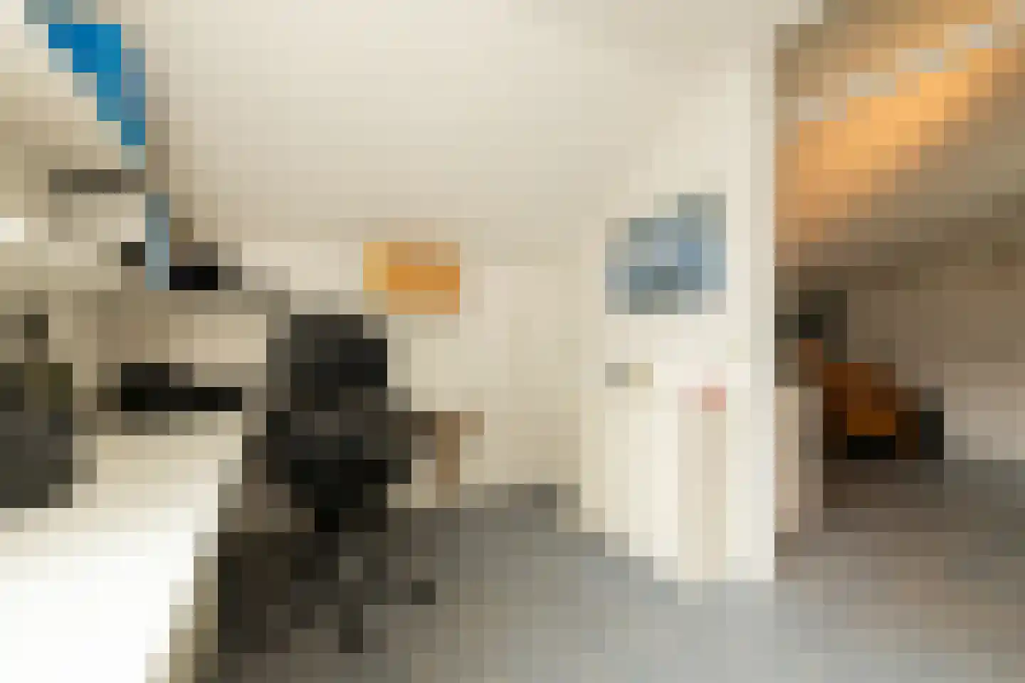 Gandhiweg 82 Gouda thumbnail 33