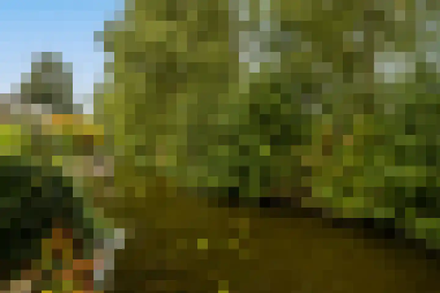 Gandhiweg 82 Gouda thumbnail 37