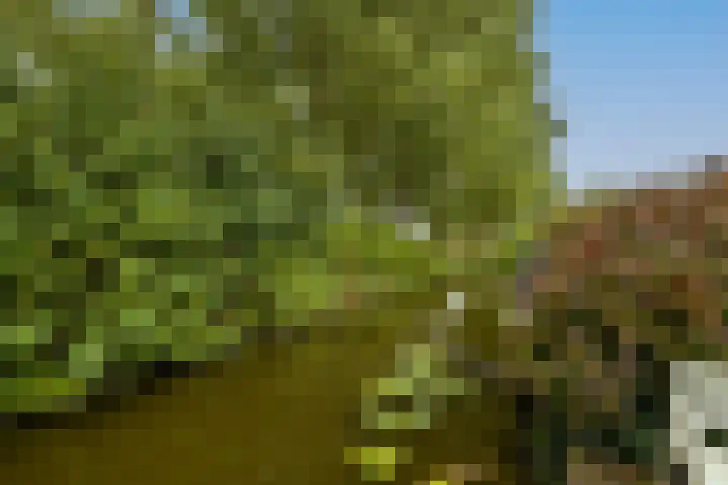 Gandhiweg 82 Gouda thumbnail 38