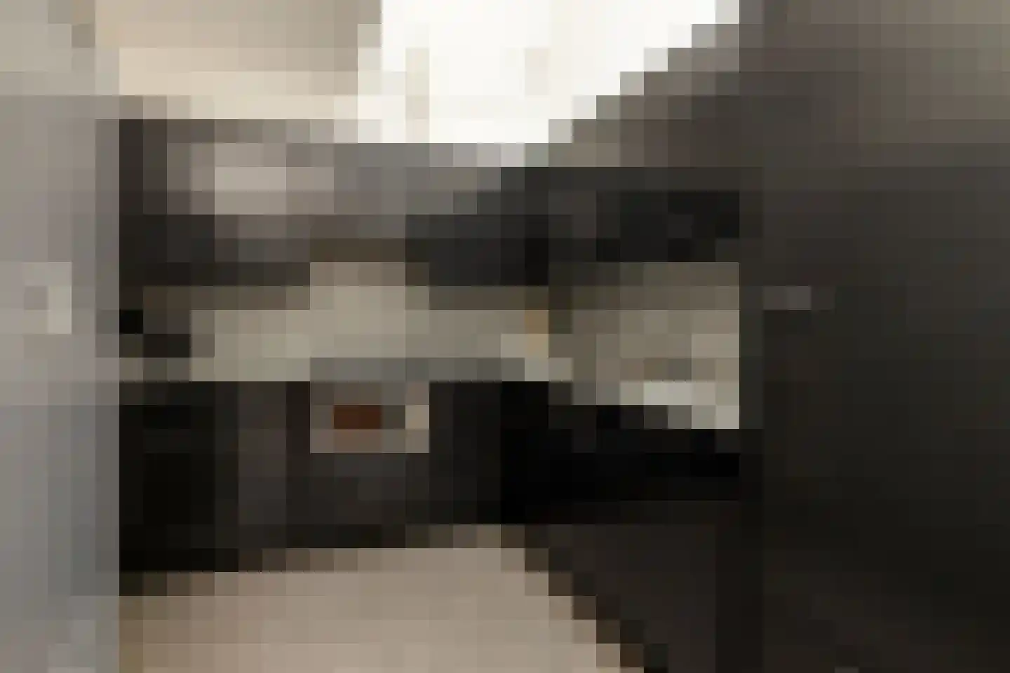 Gandhiweg 82 Gouda thumbnail 4