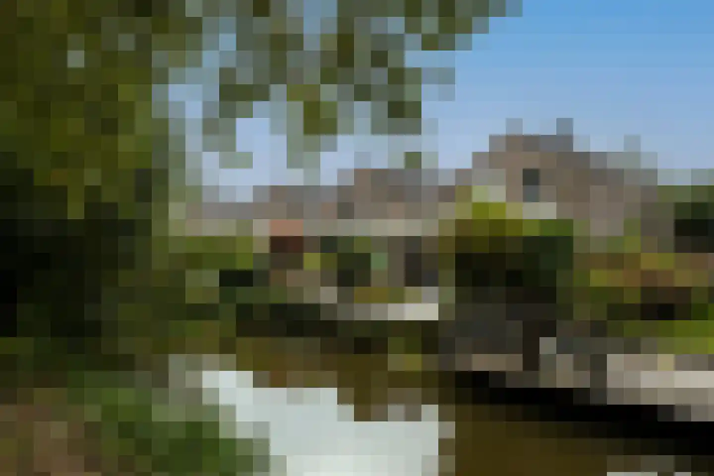 Gandhiweg 82 Gouda thumbnail 42