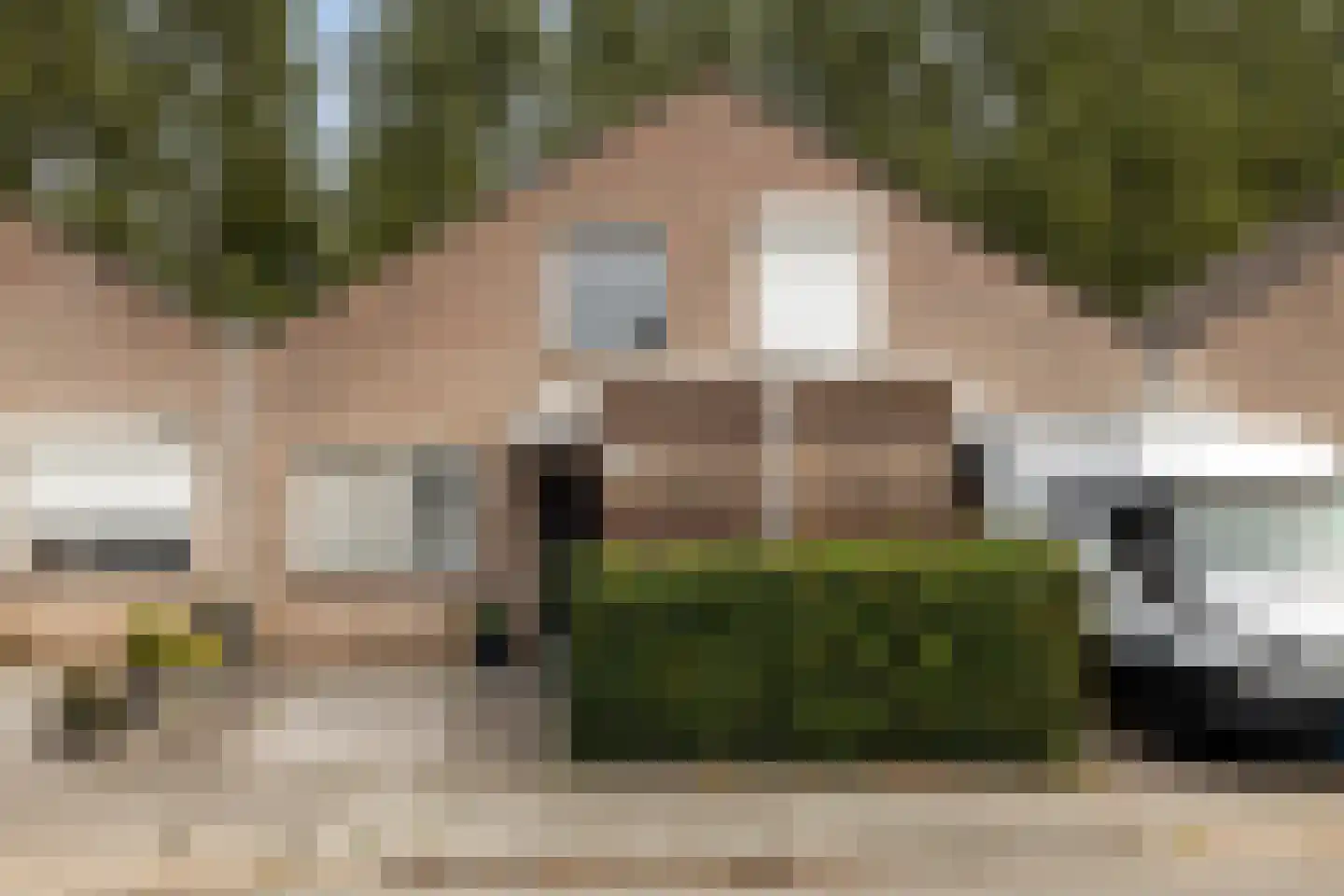 Gandhiweg 82 Gouda thumbnail 46