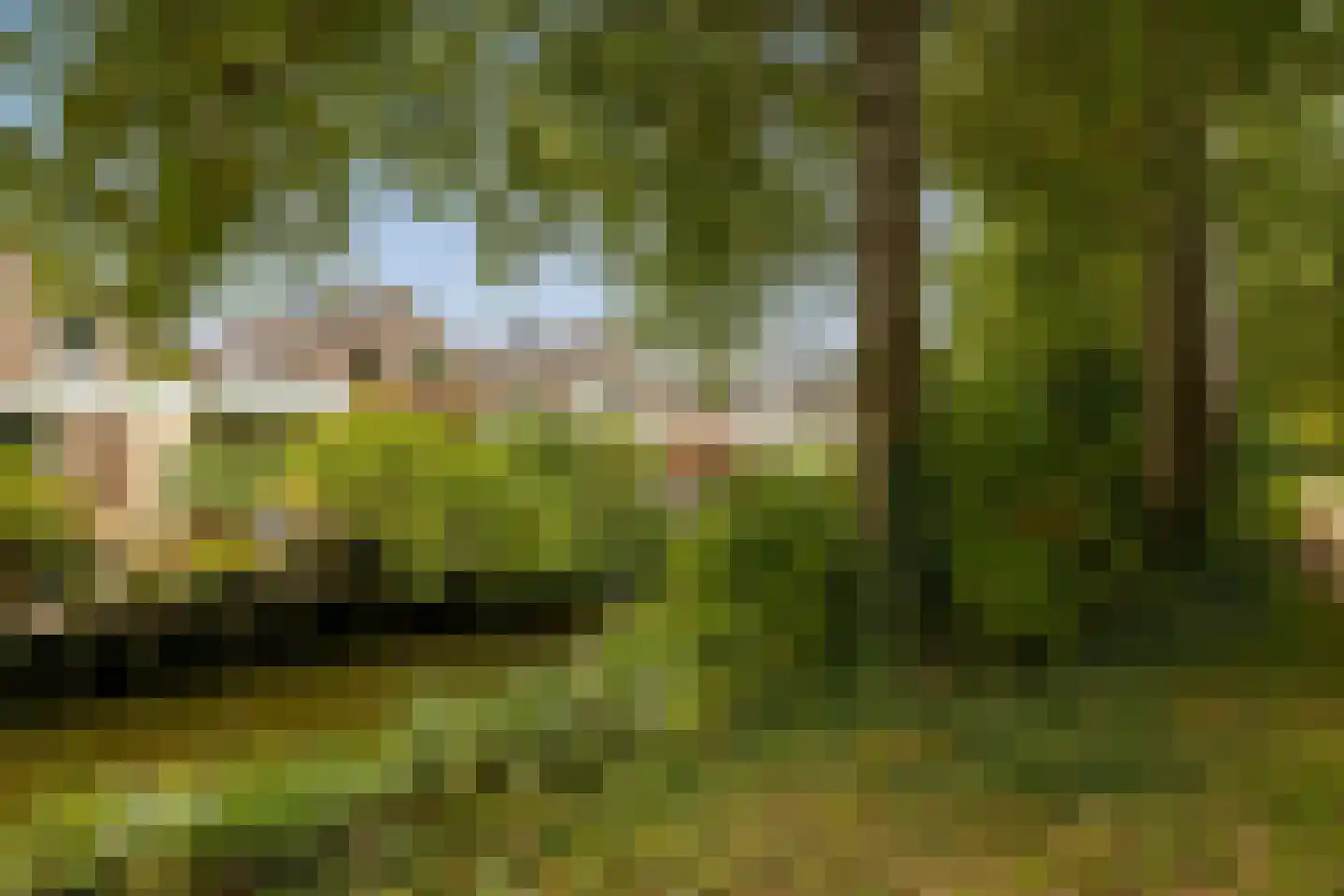Gandhiweg 82 Gouda thumbnail 49