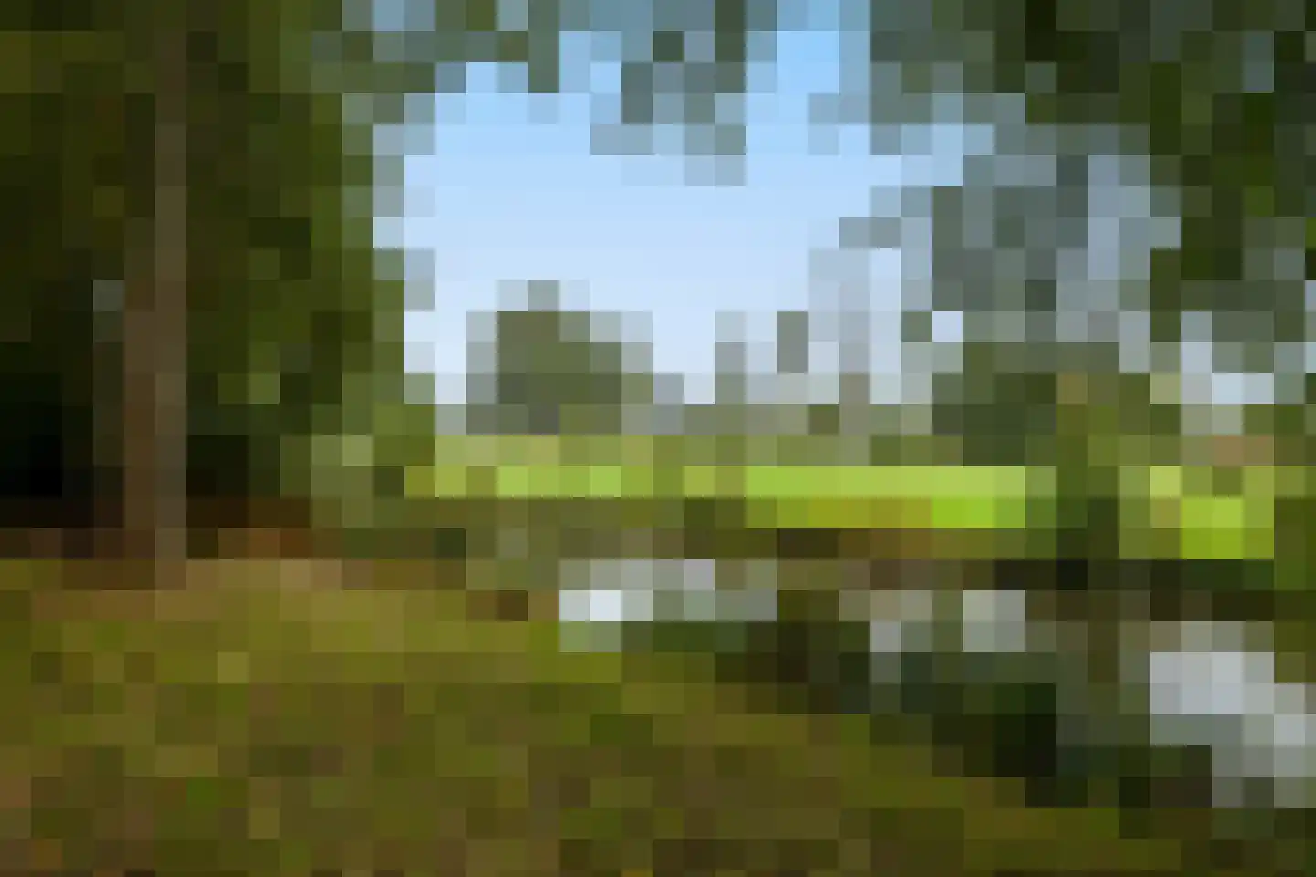 Gandhiweg 82 Gouda thumbnail 51
