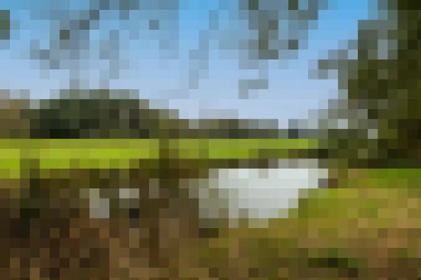 Gandhiweg 82 Gouda thumbnail 52
