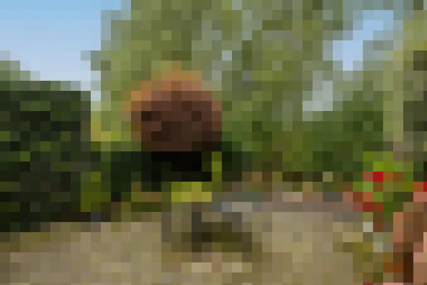 Gandhiweg 82 Gouda thumbnail 6
