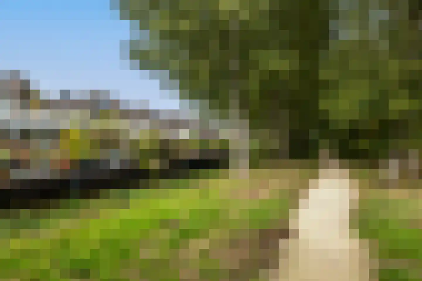 Gandhiweg 82 Gouda thumbnail 7