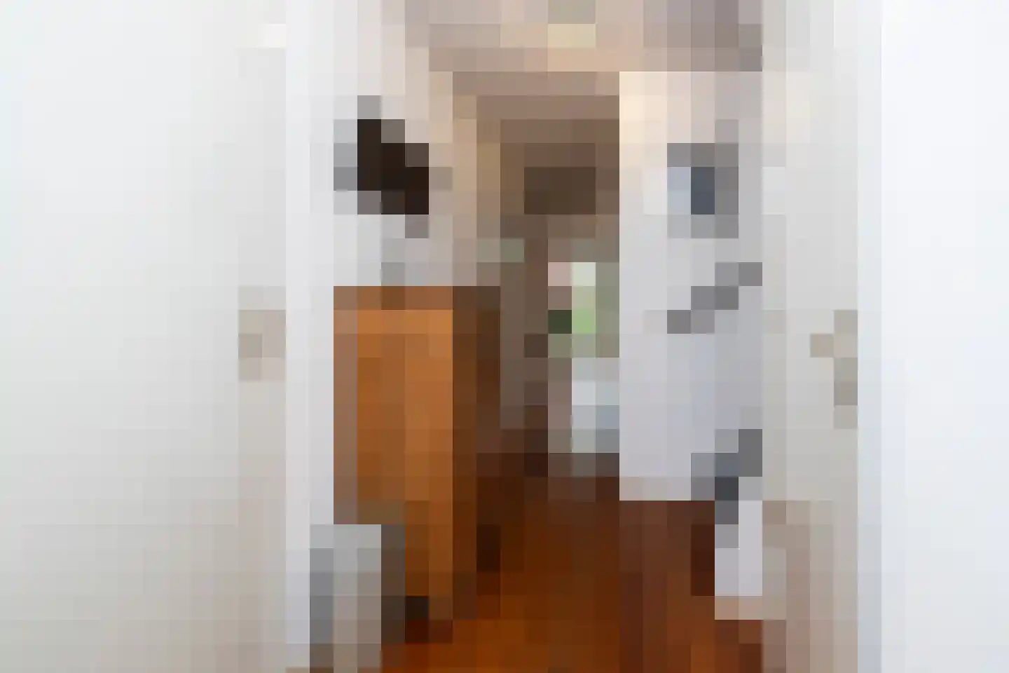 Gandhiweg 82 Gouda thumbnail 9