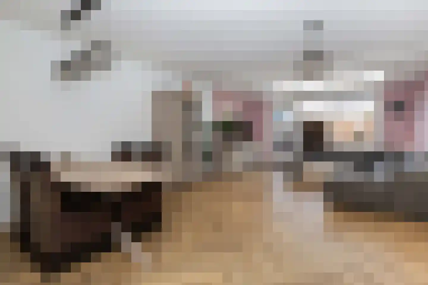 Gangboord 126 Amersfoort thumbnail 10
