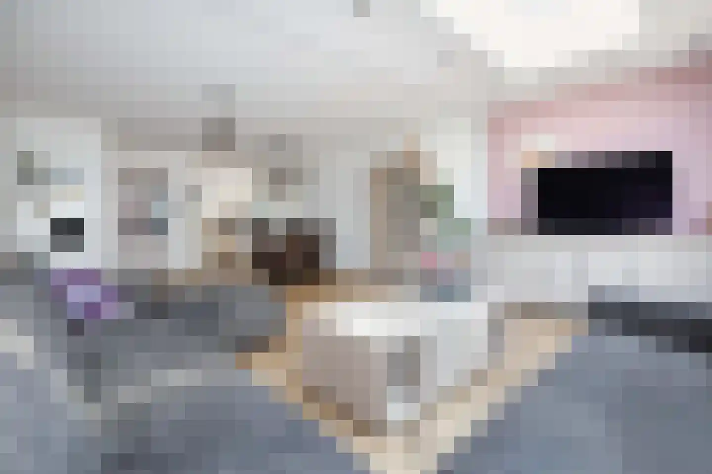 Gangboord 126 Amersfoort thumbnail 8
