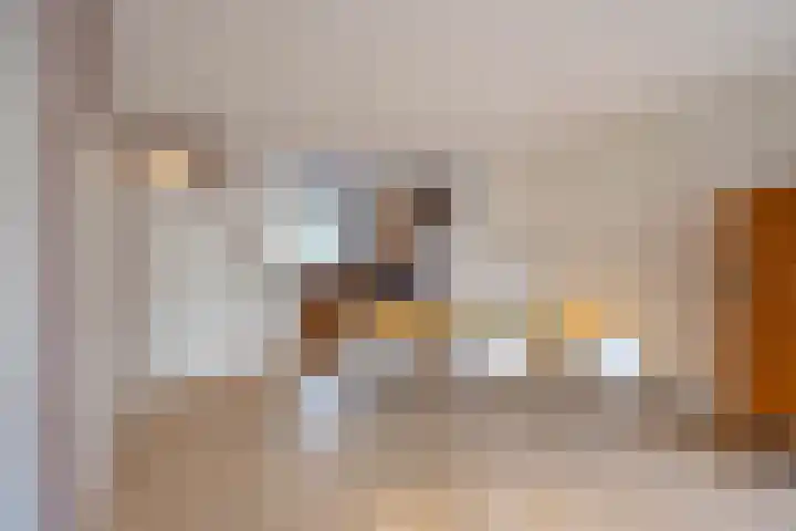 Gangboord 13 Groningen thumbnail 13