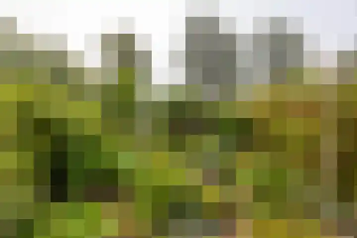 Gangboord 13 Groningen thumbnail 17