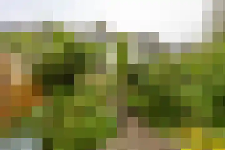 Gangboord 13 Groningen thumbnail 18