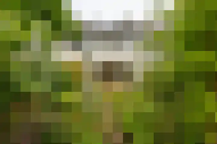 Gangboord 13 Groningen thumbnail 19