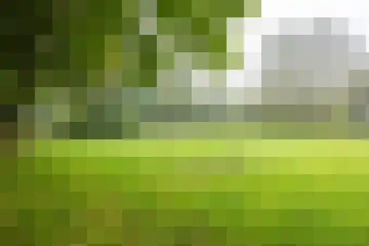 Gangboord 13 Groningen thumbnail 32