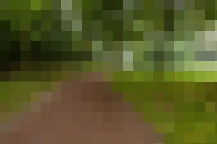 Gangboord 13 Groningen thumbnail 33