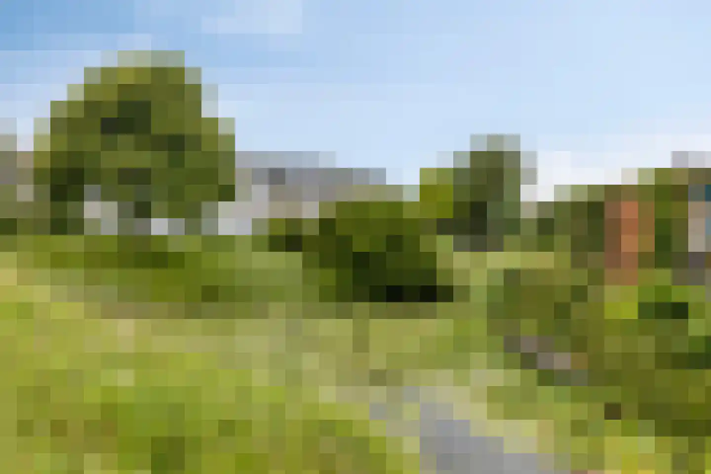 Gangboord 138 Amersfoort thumbnail 30