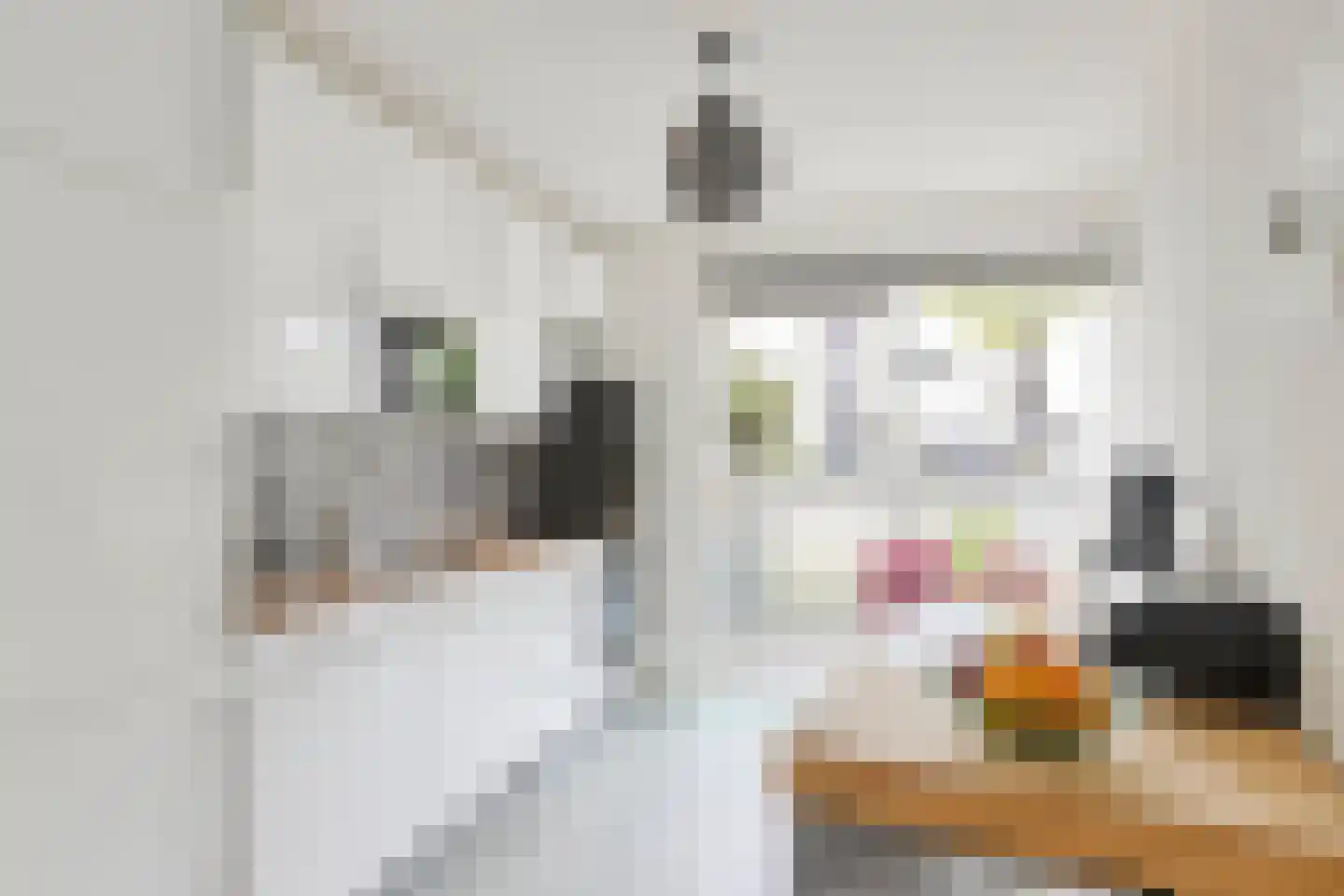 Gangboord 138 Amersfoort thumbnail 4