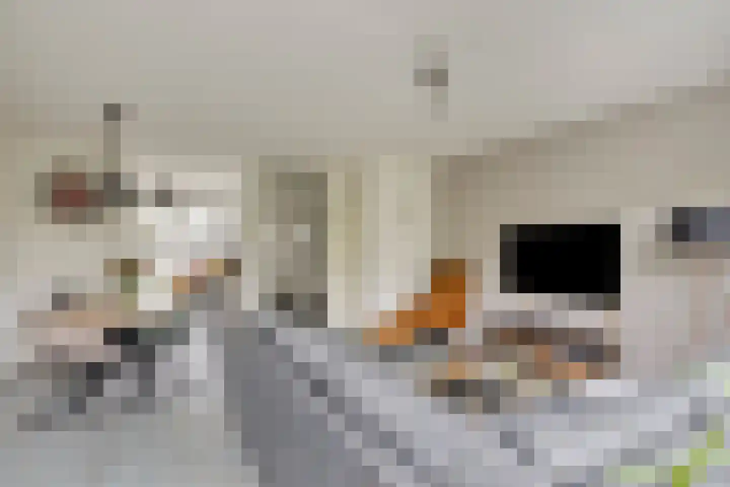 Gangboord 138 Amersfoort thumbnail 7