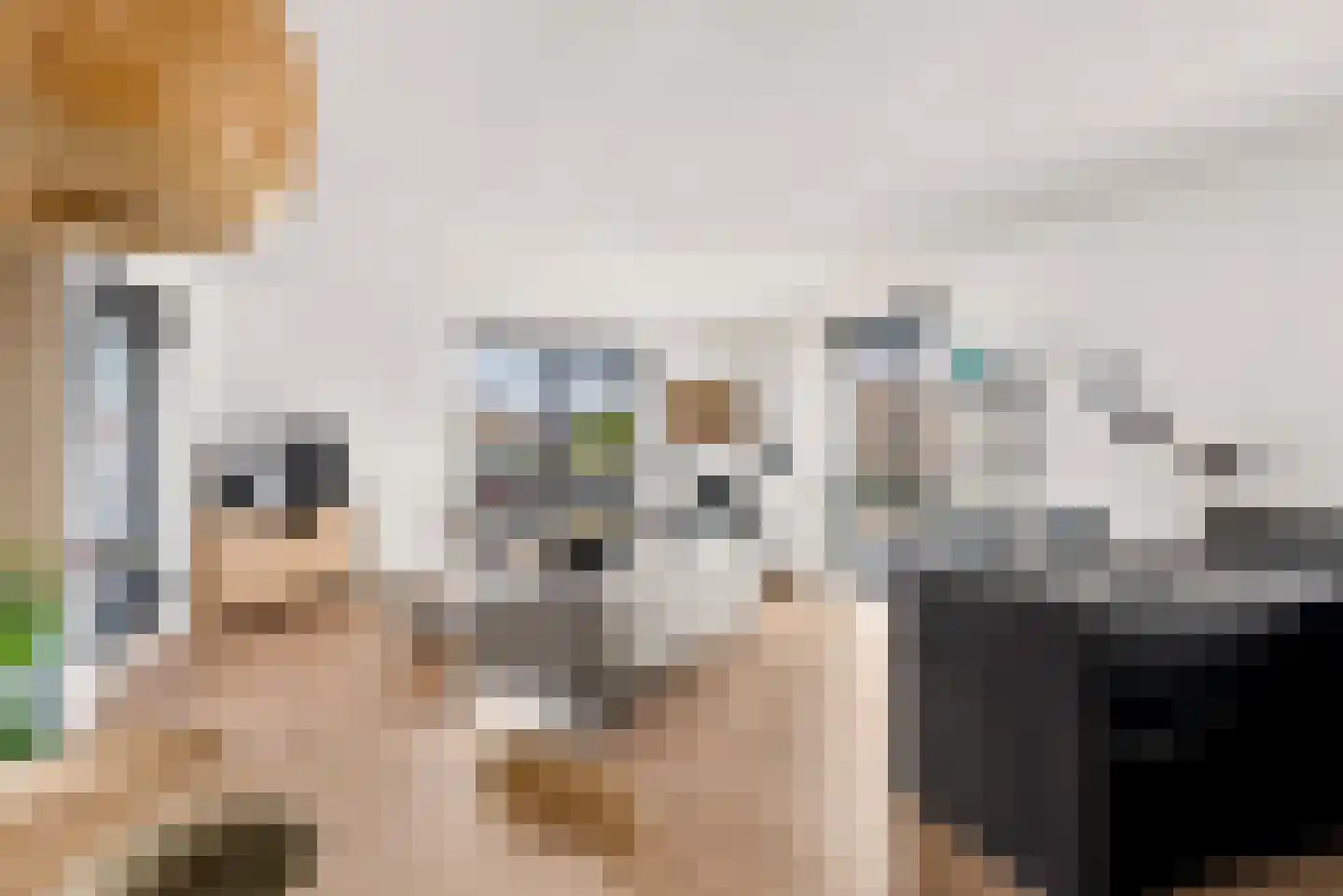 Gangboord 15 Almere thumbnail 4